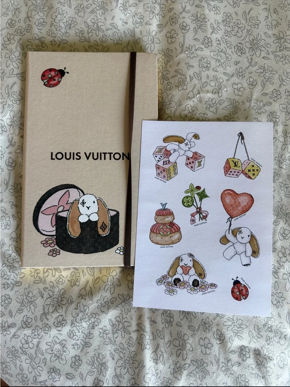 🩷♥️💙Louis Vuitton Jane Notebooks💙♥️🩷